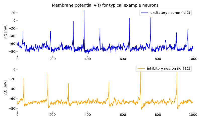 Voltage (two upper panels) and recovery variable traces (two lower panels) of an exemplary excitatory neuron (blue) and an inhibitory neuron (orange) in the network.